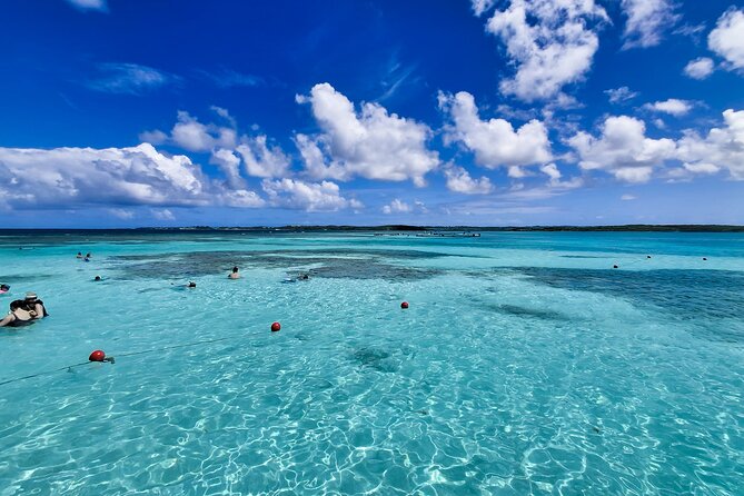 3-Hours Eye-Opening Stingray City Antigua - Transfer R/T included - From St. John’s to Seatons in About 35 Minutes