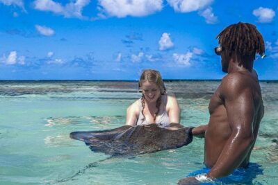 3-Hours Eye-Opening Stingray City Antigua – Transfer R/T included