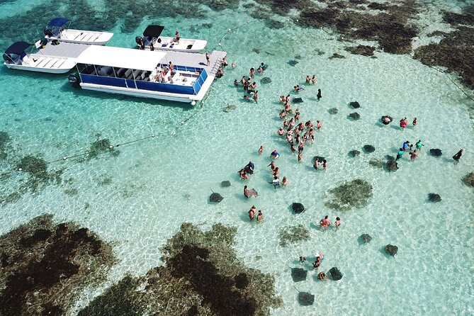 6-Hours Tour East Coast of Antigua: Stingray City, Lunch & Beach - Key points before you book