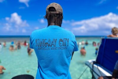 6-Hours Tour East Coast of Antigua: Stingray City, Lunch & Beach