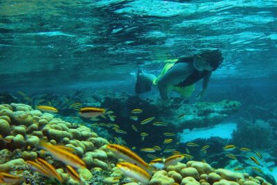Adventure Antigua – Eli’s Original Eco Tour
