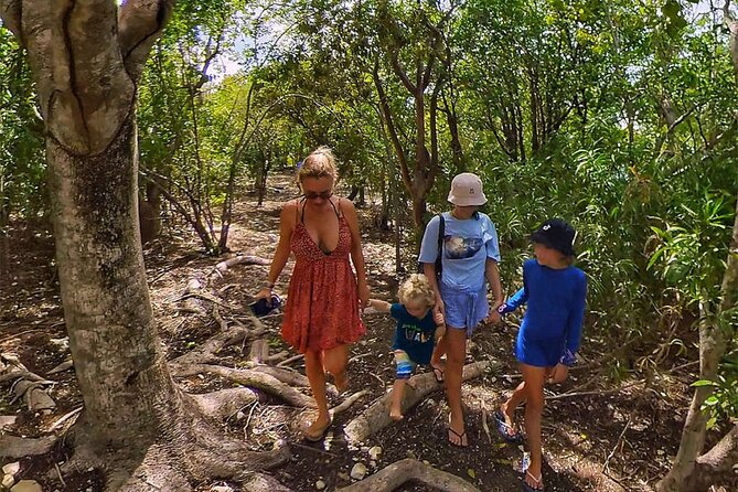 Adventure Power Boat Tour Antigua and Private Laviscount Island - Laviscount Island, three hours with tortoises and lunch