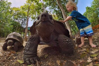 Adventure Power Boat Tour Antigua and Private Laviscount Island