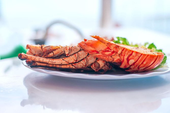 Antigua Seafood Lunch Cruise From St. John's - Who will enjoy this Antigua cruise most