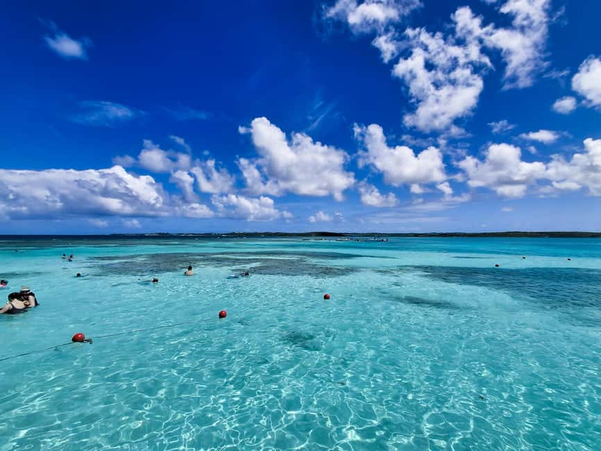 Antigua: Stingray City Experience with Round-Trip Transfer - The key points at a glance