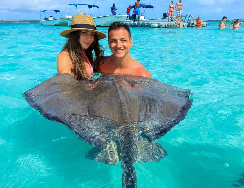 Antigua: Stingray City Experience with Round-Trip Transfer - Meeting the stingrays in Antigua’s shallow sea
