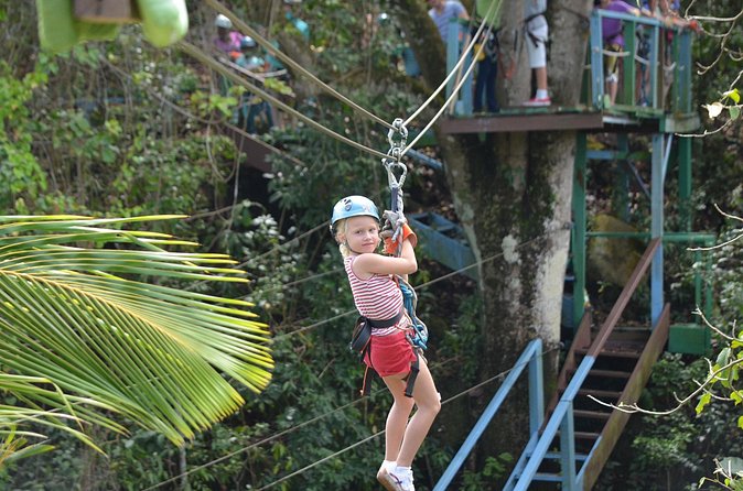 Antigua Zipline Canopy Adventure from St John’s - The forest setting and tree-house pause