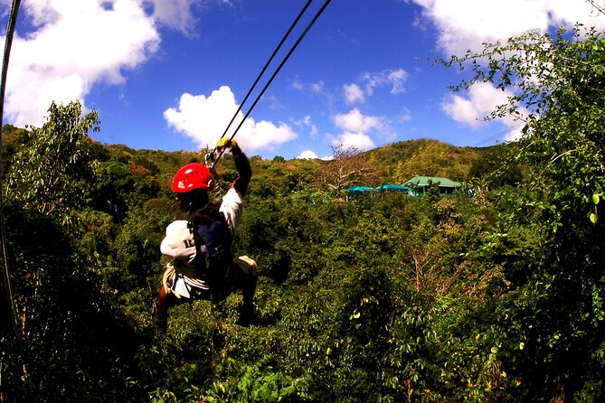 Antigua Zipline Canopy Adventure from St John’s - Is $110 a fair price?