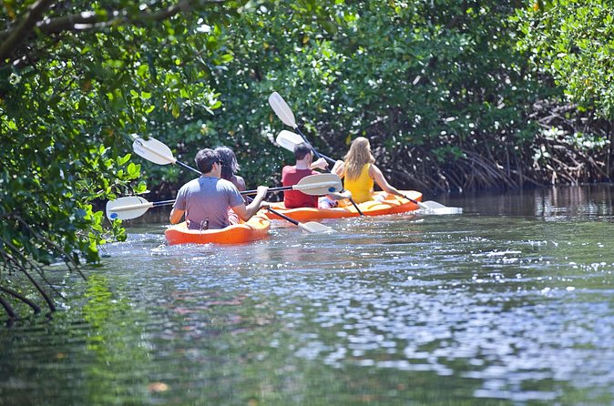 Antigua Zipline & Kayaking Combo From St. John's - Paddling through Antigua’s mangroves