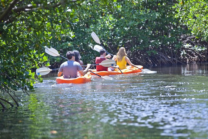 Antigua Zipline & Kayaking Combo From St. John's - Who should book this Antigua adventure?