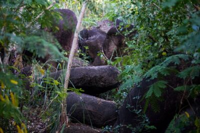 Caribbean Stonehenge – Hike on Green Castle Hill, Antigua.