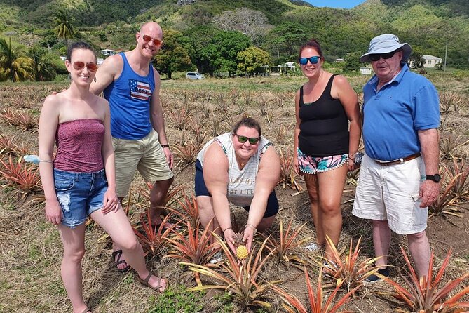 Cultural and Historical Home Tour in The Antiguan Experience - Beach lunch gives the tour a welcome change of pace