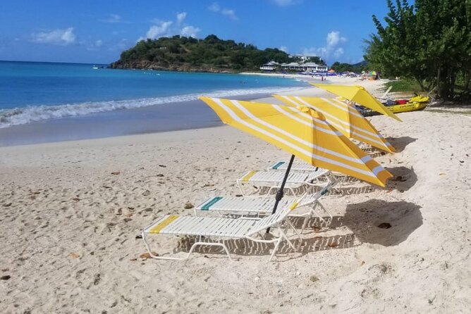 Cultural and Historical Home Tour in The Antiguan Experience - Is $65.77 a fair price?