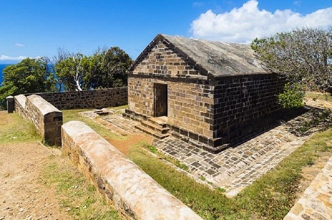 Discover the Best of Antigua Sightseeing Tour - Eagle Transfers - The rainforest roads add a change of pace