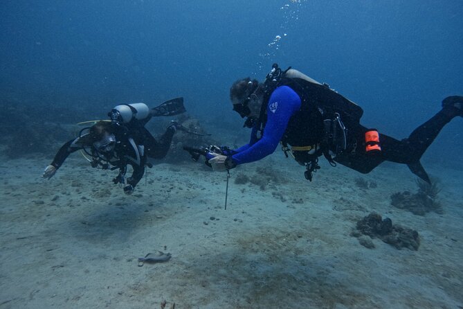 DiveCarib - An Eco-Friendly Certified Diver Trip in Antigua - Starting at the National Sailing Academy at 8:30 am