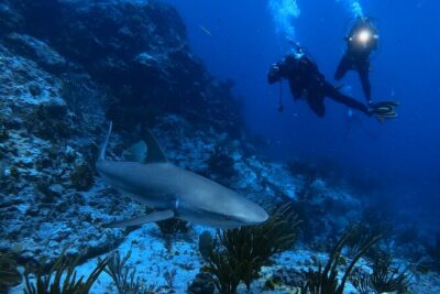 DiveCarib – An Eco-Friendly Certified Diver Trip in Antigua