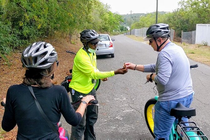 E-Bike Tour of Antigua Forts and Beaches - Morning or afternoon: choosing the better departure