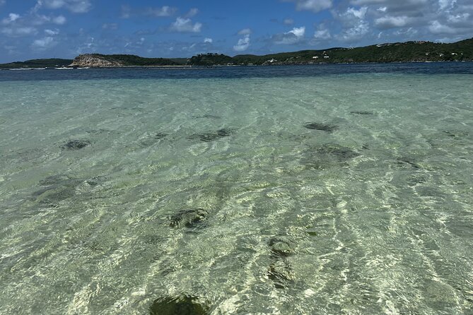 FANTASTIC Green Island and Sea Turtles - Half Day share boat trip - Three hours of sand, water, and natural pools