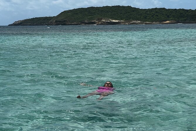 FANTASTIC Green Island and Sea Turtles - Half Day share boat trip - How the turtle spotting works