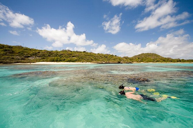 FANTASTIC Green Island and Sea Turtles - Half Day share boat trip - Drinks, fruit, and the practical extras