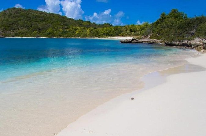 FANTASTIC Green Island and Sea Turtles - Half Day share boat trip - A small-group outing with several guide personalities