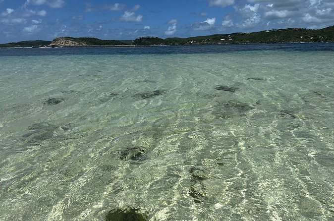 FANTASTIC Green Island and Sea Turtles - Half Day share boat trip - Who will enjoy this Antigua outing most?
