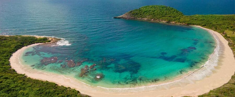 From St John's: Half Moon Bay Beach Half-Day Trip by Van - Key points at a glance
