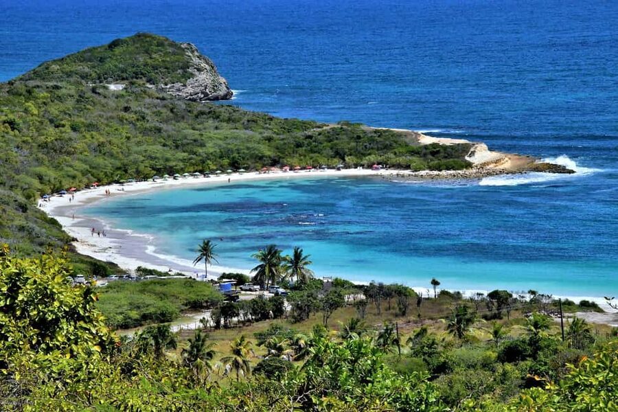 From St John's: Half Moon Bay Beach Half-Day Trip by Van - How the guide shapes the day