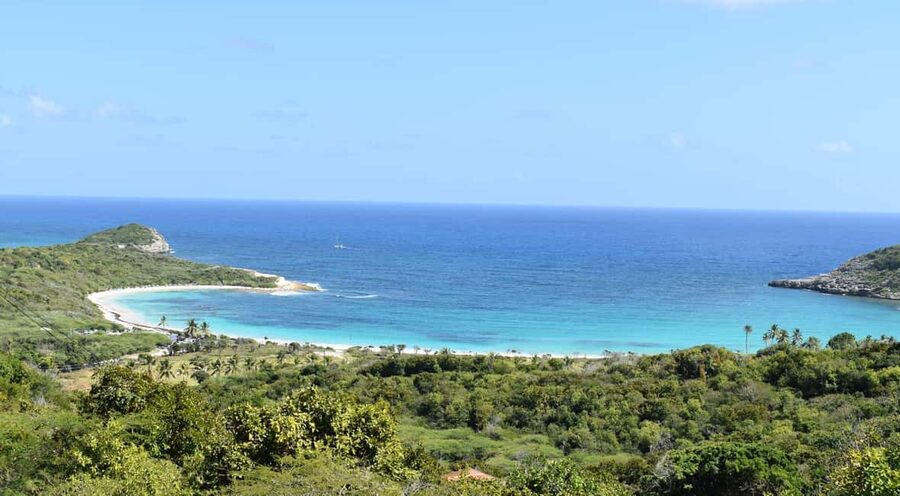 From St John's: Half Moon Bay Beach Half-Day Trip by Van - Who will enjoy this Half Moon Bay trip?