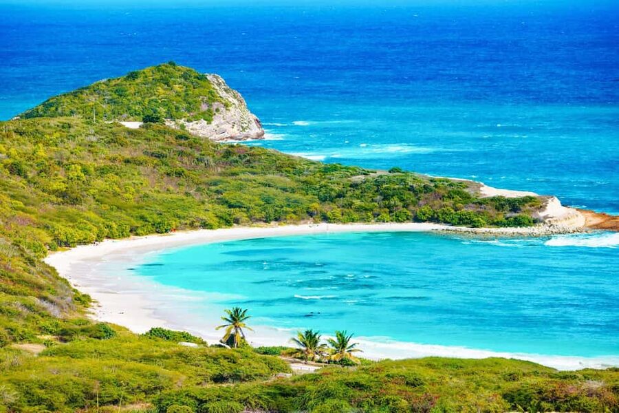 From St John's: Half Moon Bay Beach Half-Day Trip by Van - The 50-minute ride from St John’s