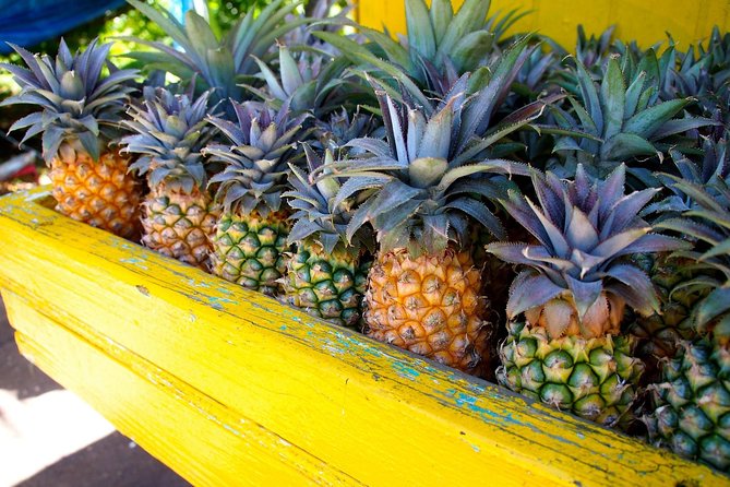 Half-Day Tour: A Taste of Paradise and History of Antigua - The drive between sights is part of the tour