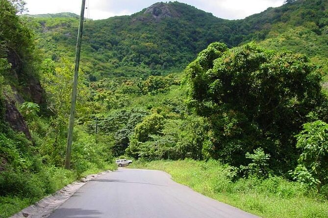 Half-Day Tour: A Taste of Paradise and History of Antigua - Fruit, rum punch, and the small extras