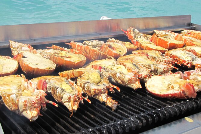 Sail and Snorkel at Cades Reef - The return sail becomes a Caribbean party
