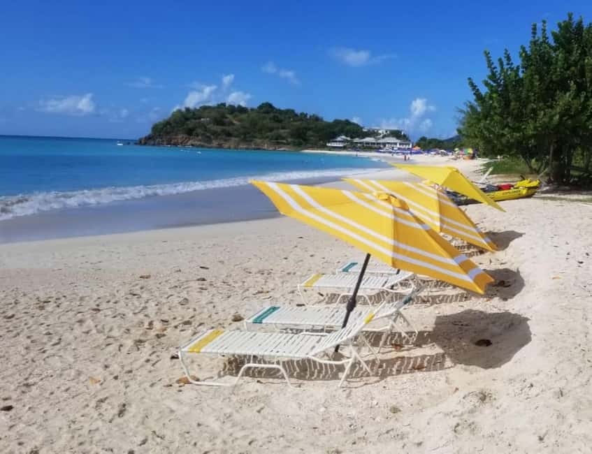 Sip & Paint with lunch on exciting Ffryes Tiki beach Bar - Key points to know before booking