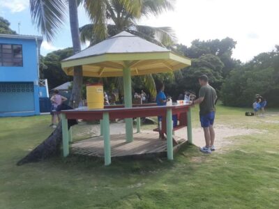 St. John’s; Combo Laviscount Island & Swimming with Stingray