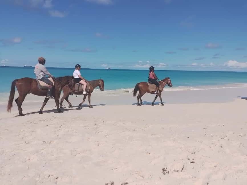 St. Johns: Horseback Riding Bareback Swim, &Fort James Beach - The ride passes old ruins and local neighborhoods