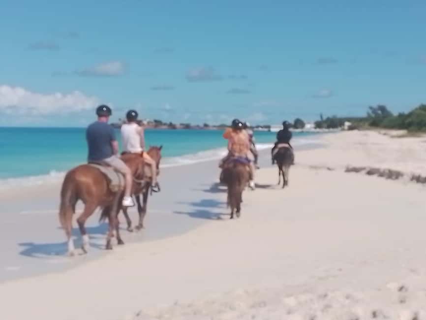 St. Johns: Horseback Riding Bareback Swim, &Fort James Beach - What the riding portion feels like