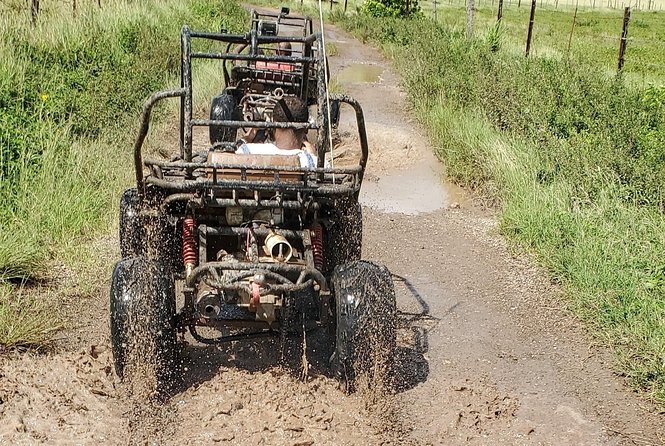 St. Mary's Mud Buggy Experience - The beach stop is the trip’s best reset