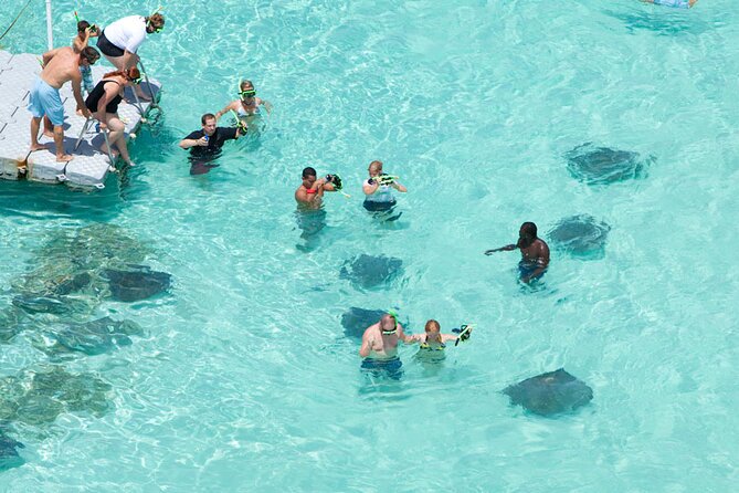 Stingray City - Key points to know before you go