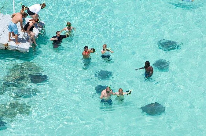 Stingray City - Is five hours enough, or too much?