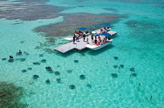 Stingray City - The animal encounter is the real reason to book
