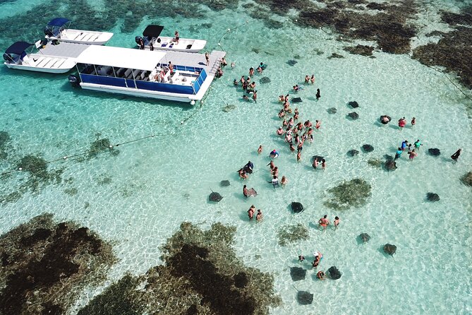 Stingray City Antigua for all the ages - ROUND TRIP INCLUDED - Key points before you book