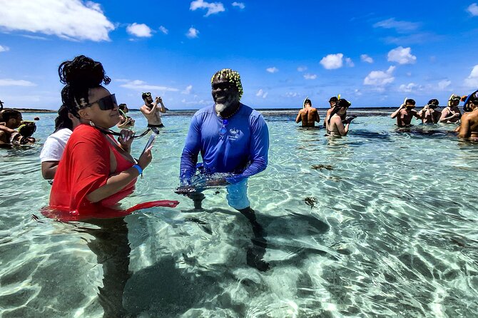 Stingray City Antigua for all the ages - ROUND TRIP INCLUDED - What the staff do well