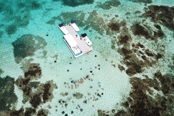 Stingray City Antigua for all the ages - ROUND TRIP INCLUDED - Photos, snorkeling gear, drinks, and what to bring