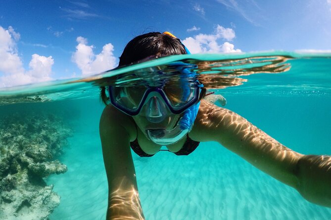 Stingray City Antigua for all the ages - ROUND TRIP INCLUDED - Who should book this Antigua excursion?