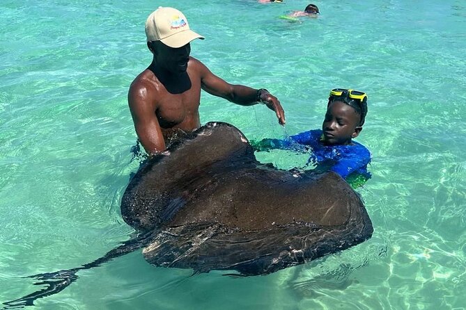 Stingray City Experience Antigua - Cruise Ship Passengers Edition - Standing beside stingrays in clear water