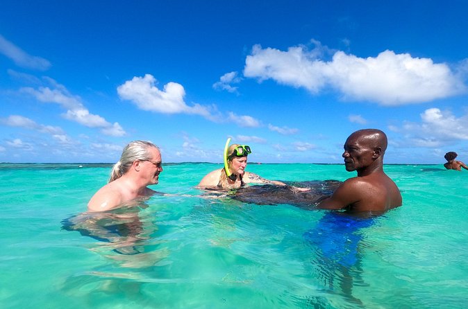 Stingray City Experience Antigua - Cruise Ship Passengers Edition - Is $139.90 a fair price?
