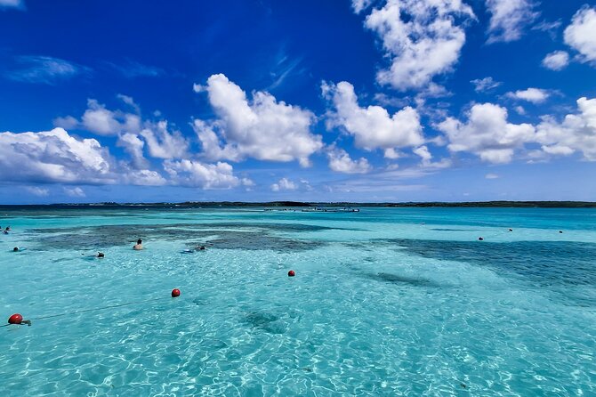 Stingray City Experience Antigua - Cruise Ship Passengers Edition - Weather, cancellations, and timing