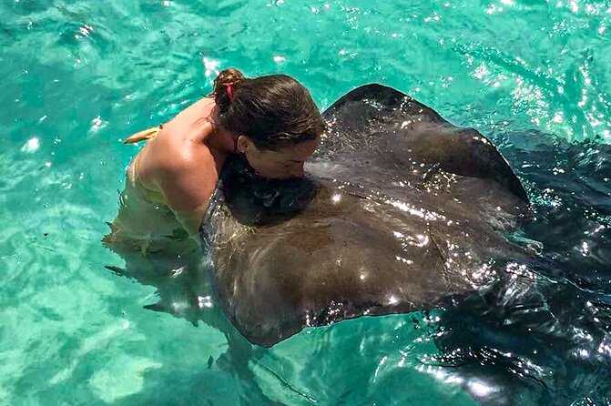 Stingray City experience, Devils Bridge and Long Bay Beach - Stingray City is the reason to choose this tour