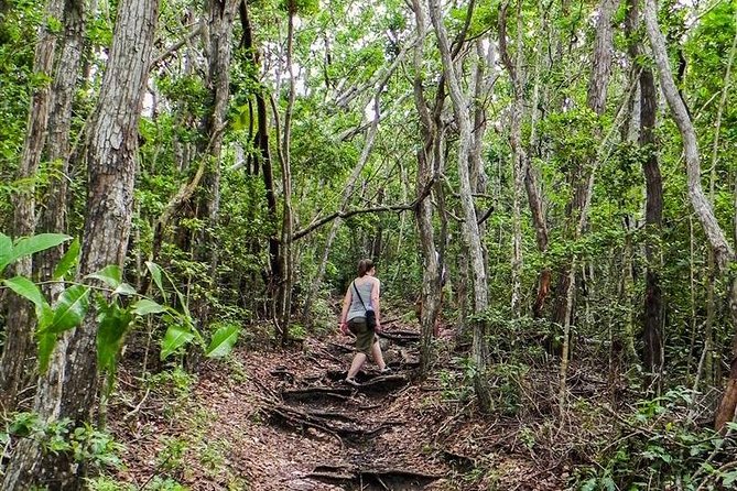 Trek Tours Hiking Experience in Antigua - Fort Berkeley and Shirley Heights combine views with history